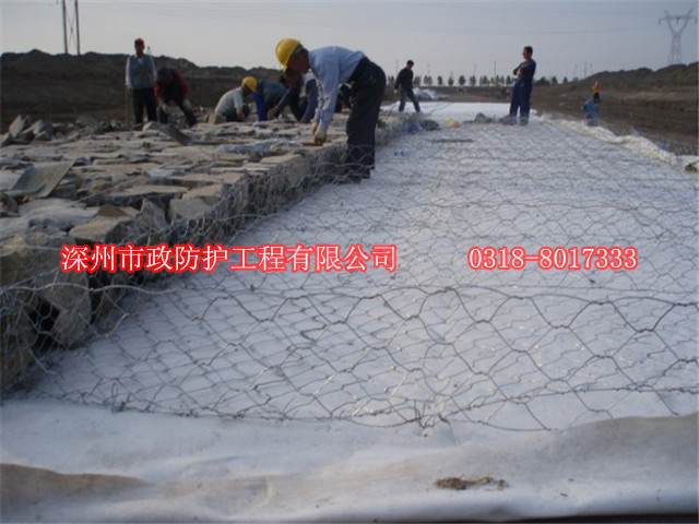 雙隔板雷諾護(hù)墊