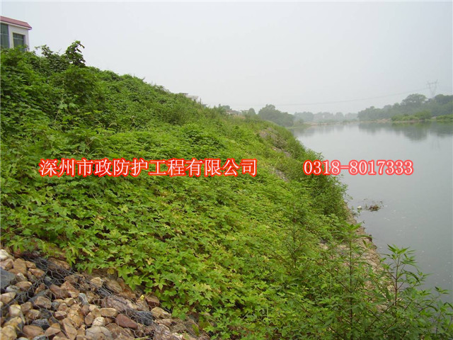 河堤雷諾護(hù)墊