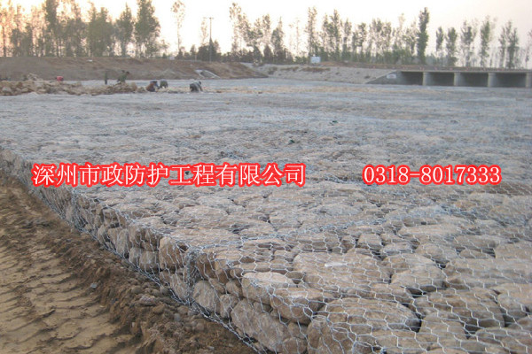 高爾凡雷諾護(hù)墊