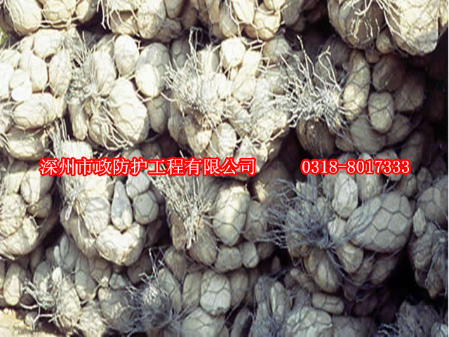 賽克格賓網(wǎng)