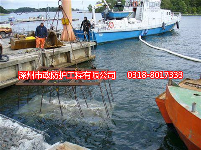 河南石籠網(wǎng)兜